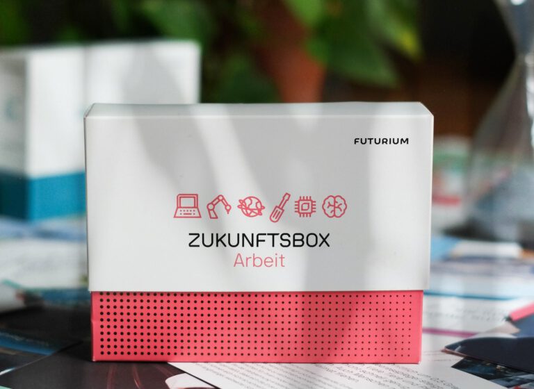 Zukunftsboxen_LisaHommelsheim_Training_Beratung_0